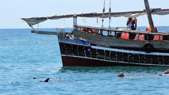Mombasa: Snorkeling, Dolphin watching, seafood lunch.