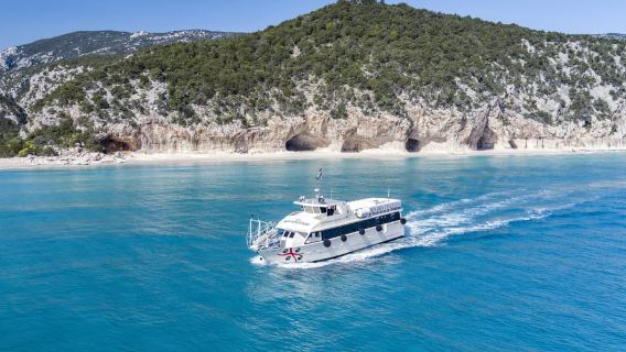 Cala Gonone: Thuyền khứ hồi đến Cala Luna