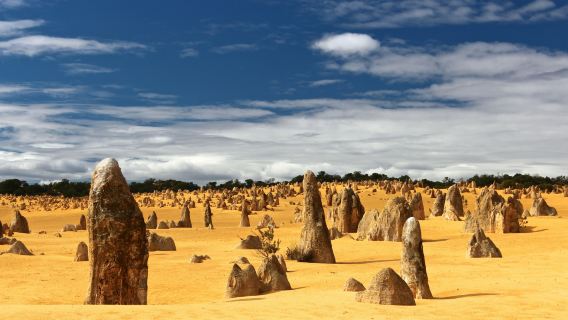澳洲珀斯+尖峰石陣+蘭斯林沙丘一日遊【龍蝦工廠|包車】