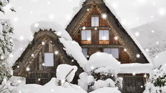 高山発:濃飛バスで行く白川郷・五箇山バスツアー