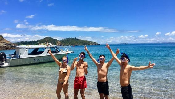 Baie des Îles : croisière d'une journée de 4,5 heures et excursion sur l'île