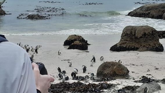 Lawatan Persendirian Semenanjung Cape