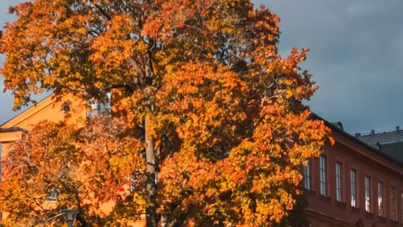 瑞典斯德哥爾摩烏普薩拉+西格圖納雙鎮一日遊【尊享包車定制遊】