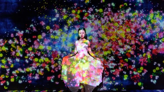 Kulinarische Führung durch den Toyosu Markt in Tokio und digitale Kunstausstellung teamLab (inklusive teamLab-Ticket)