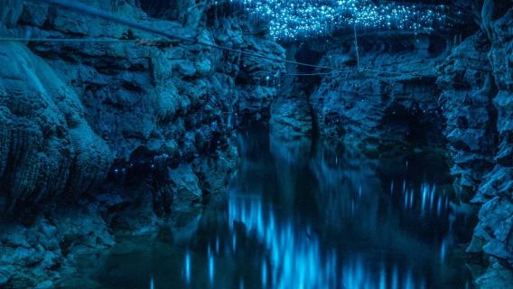 紐西蘭奧克蘭周邊比特村 + 懷託摩螢火蟲洞-包車-精選行程