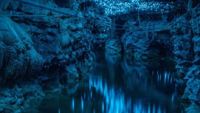 紐西蘭奧克蘭周邊比特村 + 懷託摩螢火蟲洞-包車-精選行程