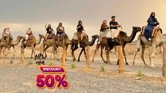 Marrakesh: Agafay Desert Sunset, Camel Ride, and Dinner Show