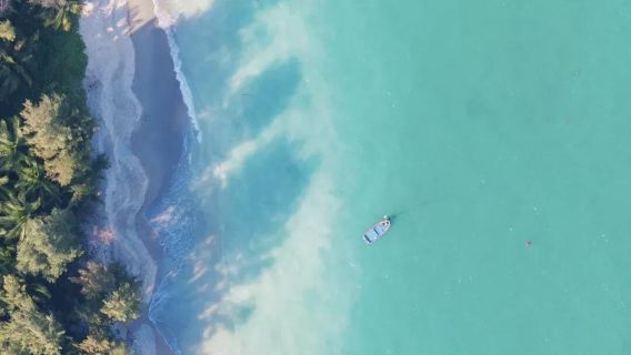 tour di un giorno al Museo del Mar Meridionale di Qionghai e alla Finestra dei Frutti Tropicali del Mondo con servizio in inglese disponibile