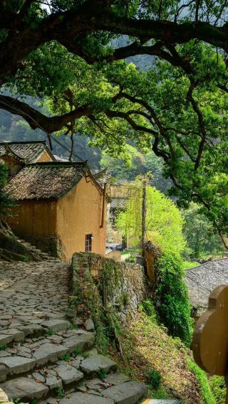 Zhejiang Lishui Gold Mine National Mining Park + Shuangtong Mountain + Songyang Old Town Day Tour with Chinese and English Services