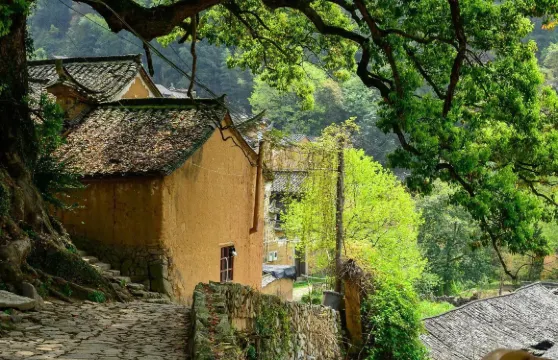 浙江麗水金礦國家礦山公園+雙童山+松陽老城一日遊可中英文服務