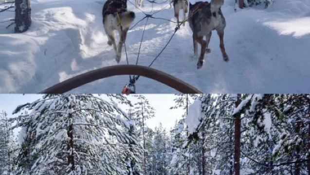 Finland Rovaniemi Mother Church + Santa Claus Village + Sled Experience/Private Chartered Tour/Winter Special Offer