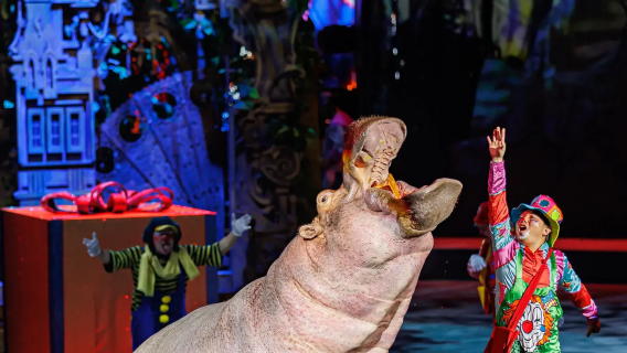 Guangzhou Family Tour: Guangdong Science Center + Chimelong Birds Park + Chimelong International Circus