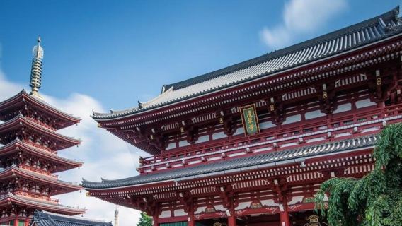 日本+東京鐵塔+晴空塔+淺草寺一日遊/行程可調-可定制多日遊