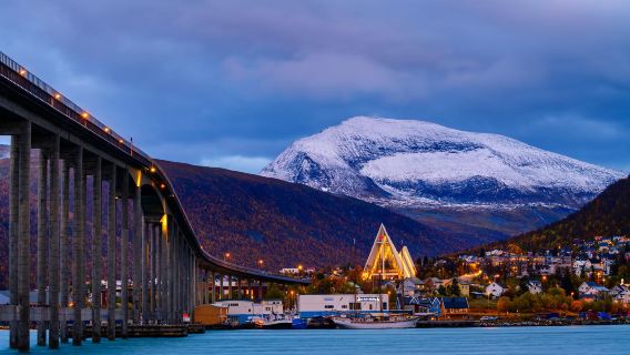 Eendaagse tour met gecharterde autovervoer naar de Alpen Botanische Tuin en Polaria Aquarium in Tromsø, Noorwegen