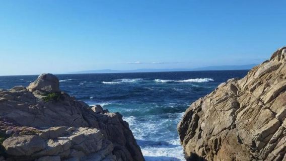 美國三藩市+加州一號公路全段包車一日遊/行程可調-可定制