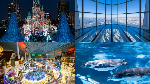 ULTRA LOTTE Tagesausflug (Lotte World Adventure+Seoul Sky+Aquarium+LDF)