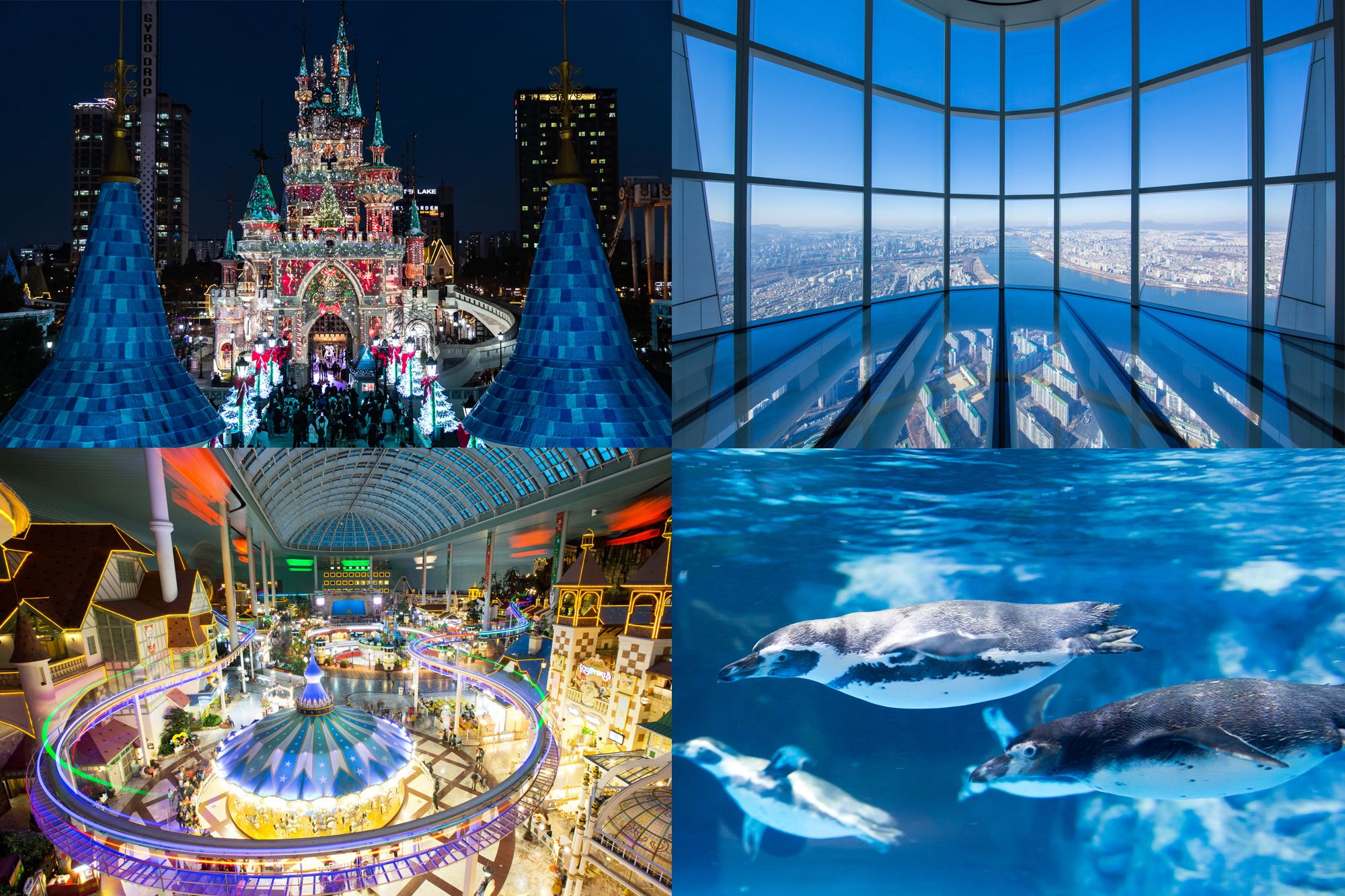 ULTRA LOTTE DAY TOUR (Lotte World Adventure+Seoul Sky+Aquarium+LDF)