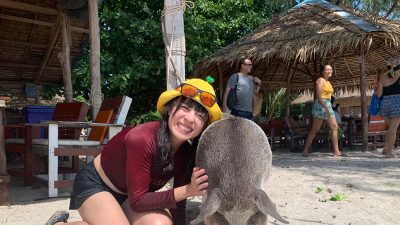 [Koh Samui] Tour giornaliero in motoscafo | Interazione con i maialini all'isola dei maiali Koh Madsum + snorkeling a Koh Tan | Pranzo incluso · Trasferimento dall'hotel