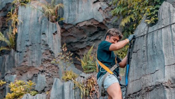 新加坡親子遊-水上樂園-海洋館-亞洲雨林探險【市區上門接駁】