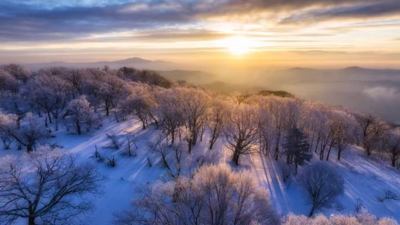 Jilin Wusong Island Admission Ticket (Jilin Rime + Snow-Covered Island + Winter Wonderland + Winter Paradise)