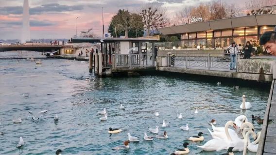 瑞士 ▎因特拉肯夢中的天堂+少女峰滑雪【包車隨心遊】