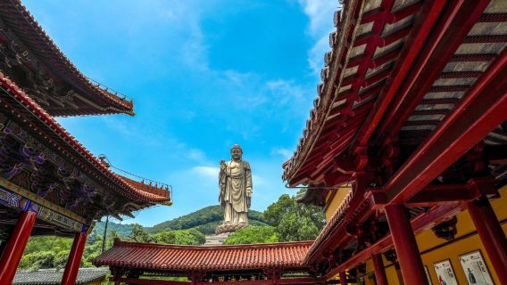 無錫靈山勝境+黿頭渚一日遊【觀紅嘴鷗&純玩含門票&贈冰箱貼】