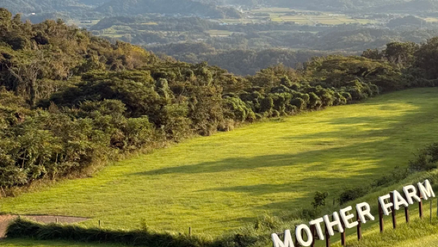 Lawatan Sewa Peribadi Disesuaikan di Tokyo-Chiba (Laluan Pilihan Semula Jadi & Tema Taman Hiburan Boso)