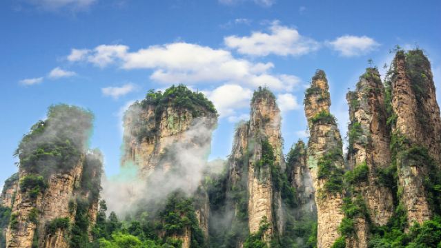 Excursión privada de un día a las montañas Avatar con guía en inglés (salida desde Zhangjiajie)