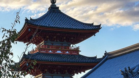 京都賞櫻：清水寺+二三年坂+伏見稻荷大社+金閣寺+嵐山嵯峨野觀光小火車