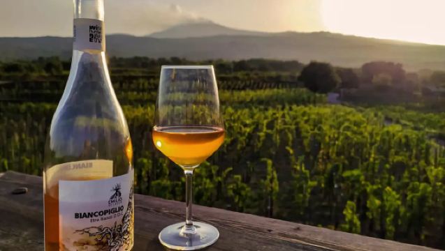 Mount Etna excursion and Wine Tour with Sicilian lunch