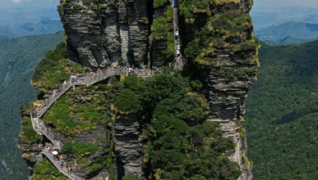 Mount Fanjing pure play day tour