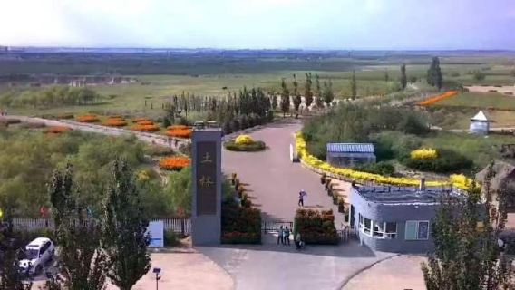 Lawatan Sehari ke Kuil Gantung Datong + Pagoda Kayu Daerah Ying dengan Sewaan Peribadi | Penghantaran Percuma dalam Bandar (Tiket Masuk Tidak Termasuk)