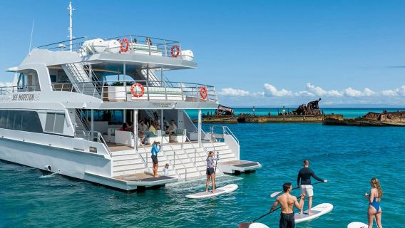 Tangalooma Wrecks & Dolphin Cruise from Brisbane