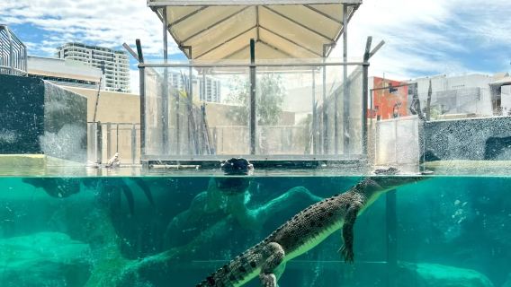 Lawatan Sehari Sewaan Peribadi ke Tarikan Utama Bandar di Wilayah Utara, Australia