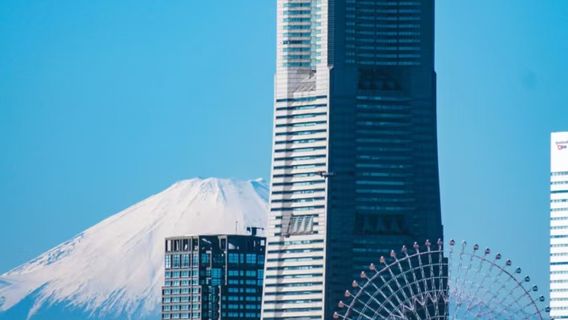 1-day tour in Tokyo and Yokohama with private charter to Yokohama