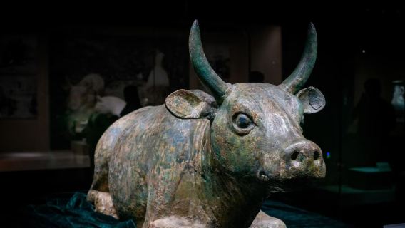[Termasuk tempahan tiket masuk] Perkhidmatan panduan peribadi 3 jam di Muzium Ningxia oleh "Xing Ka Shuo"