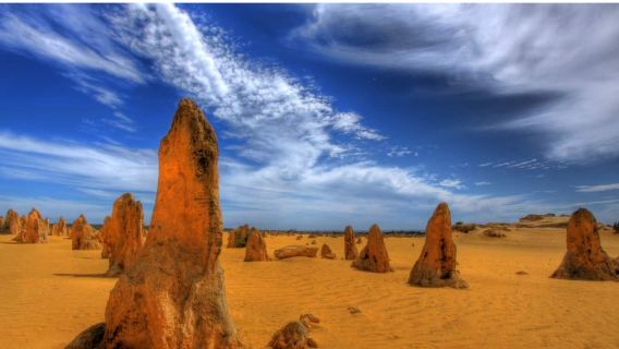 Pinnacles Koala- und Sandboarding-4WD-Tour
