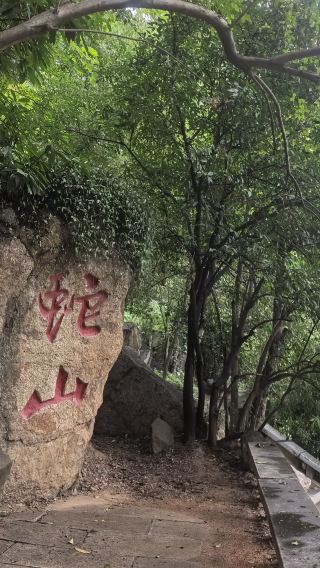 Wuhan Snake Mountain cultural heritage walking tour + First Uprising Monument + Snake Mountain rock carvings + Longhua Temple + guide
