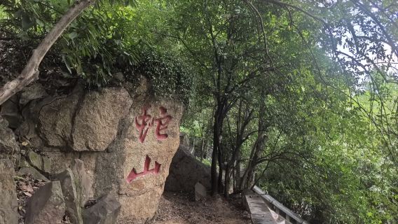 Wuhan Snake Mountain cultural heritage walking tour + First Uprising Monument + Snake Mountain rock carvings + Longhua Temple + guide