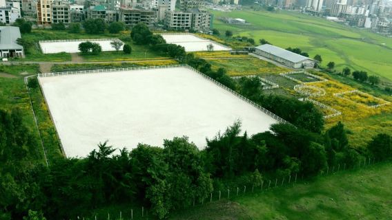アディスアベバ：乗馬体験、厩舎見学、コーヒーツアー