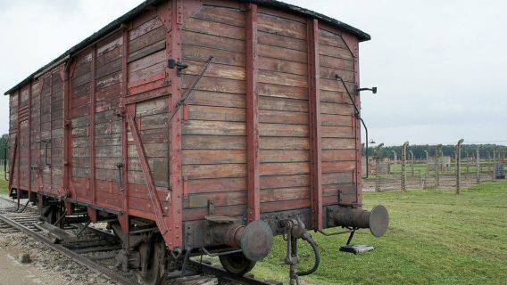 Auschwitz-Birkenau Guided Tour & Transfer from Krakow