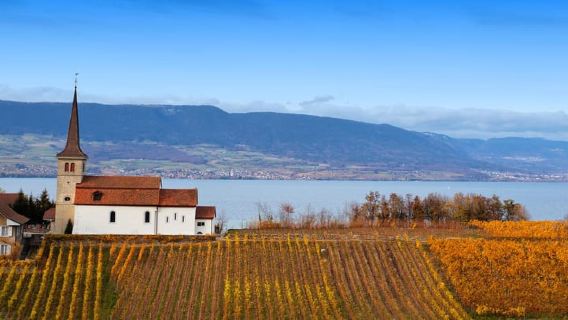 Wine tour in the canton of Vaud - Lavaux vineyards