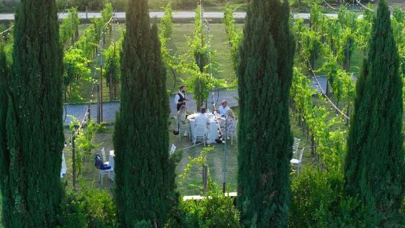 Tuscan Vineyard Dinner with Wine Tasting