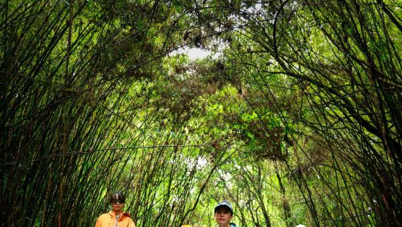 Jalan kaki di hutan primitif Laluan Pinghe, Gunung Gaoligong Tengchong (5KM/10KM) + dapur liar