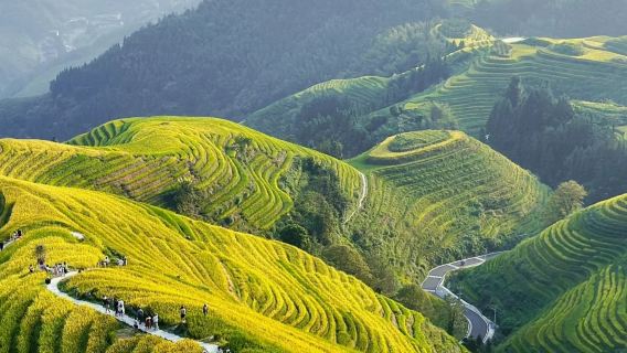 Guilin, Yangshuo y las terrazas de arroz de Longji: excursión de un día [tour privado local | servicio en chino/inglés disponible]