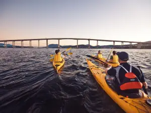 Hobart Kayak Tour
