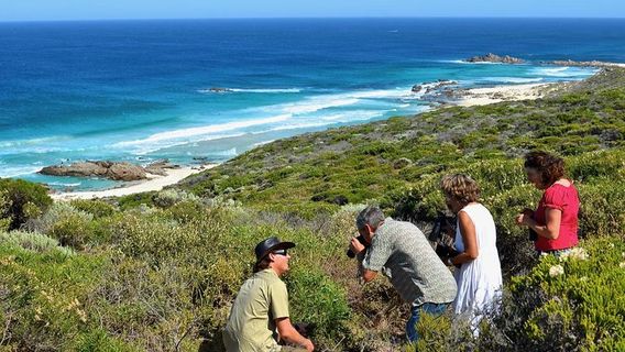 BusseltonTours