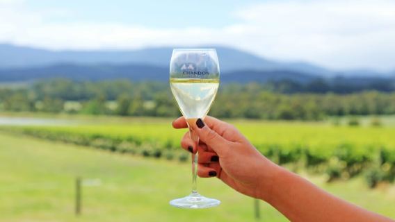 tour di un giorno a Melbourne nella Yarra Valley e alla De Bortoli Winery