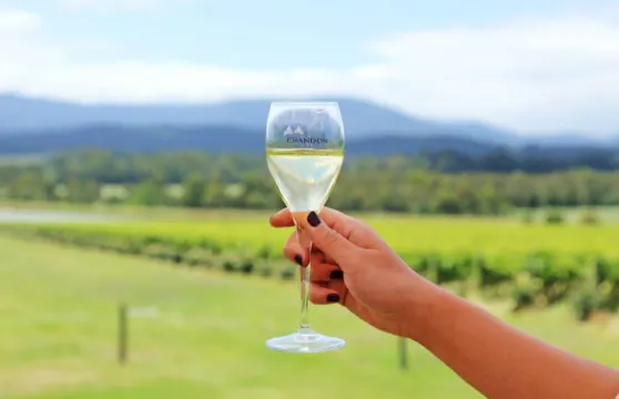 墨爾本亞拉河谷+De Bortoli Winery一日遊