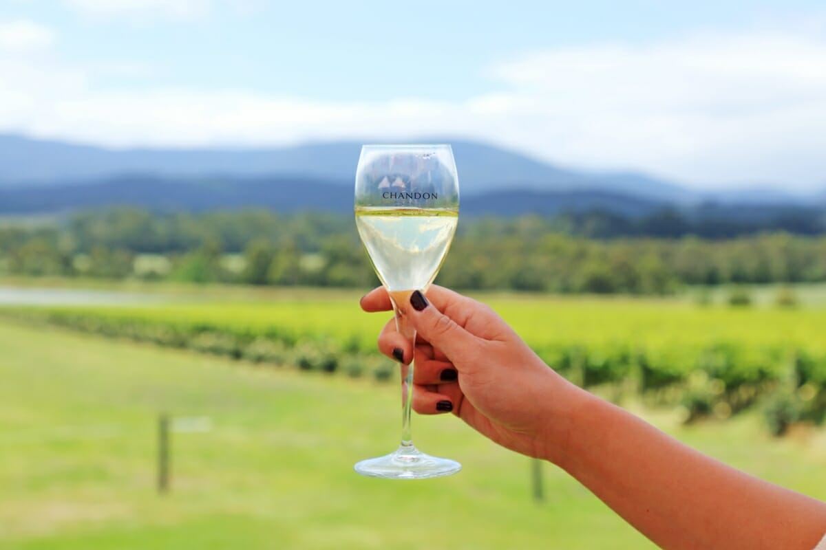 Yarra Valley + De Bortoli Winery one-day tour from Melbourne